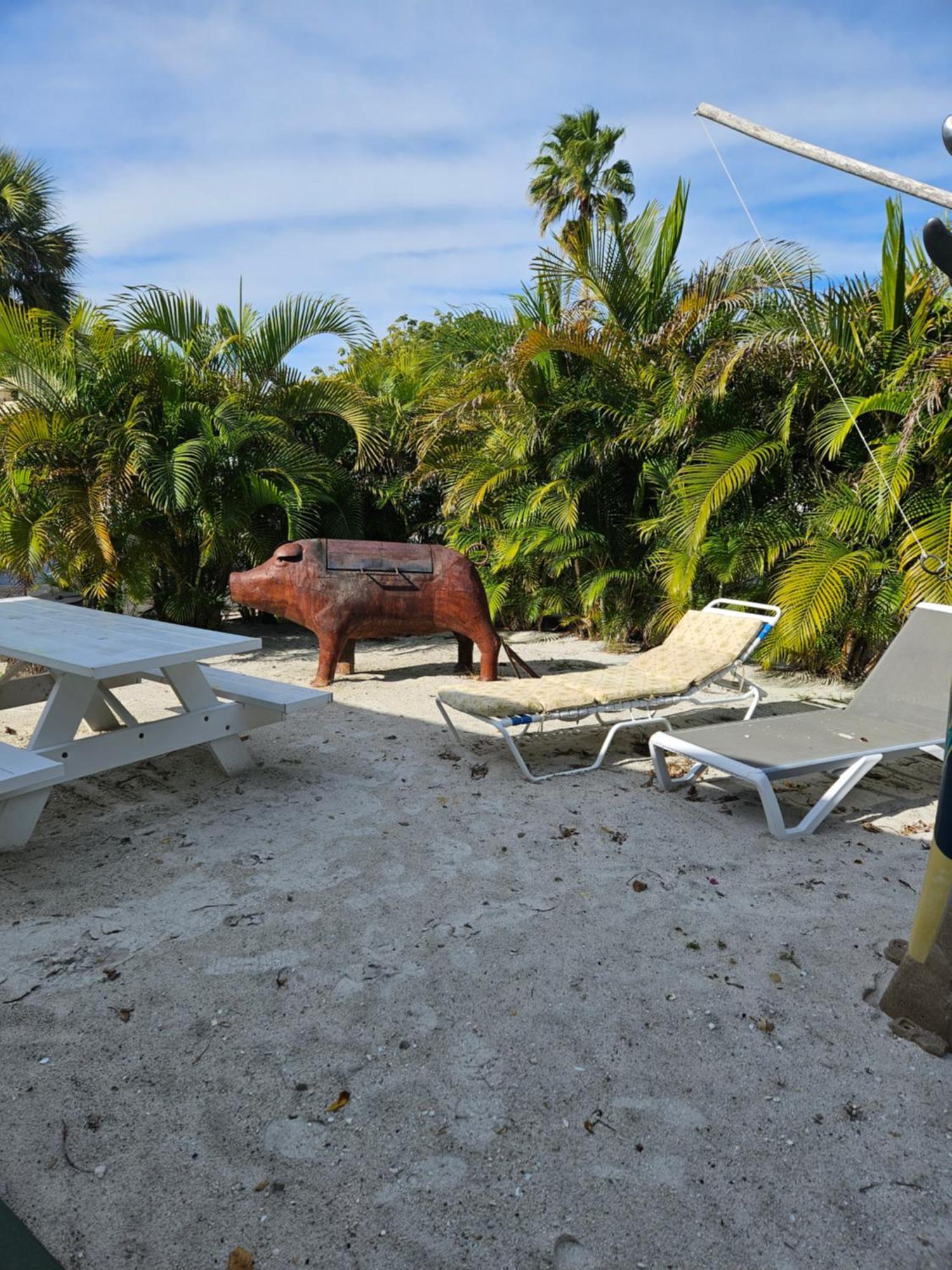Oasis Palms Resort セント・ピート・ビーチ エクステリア 写真